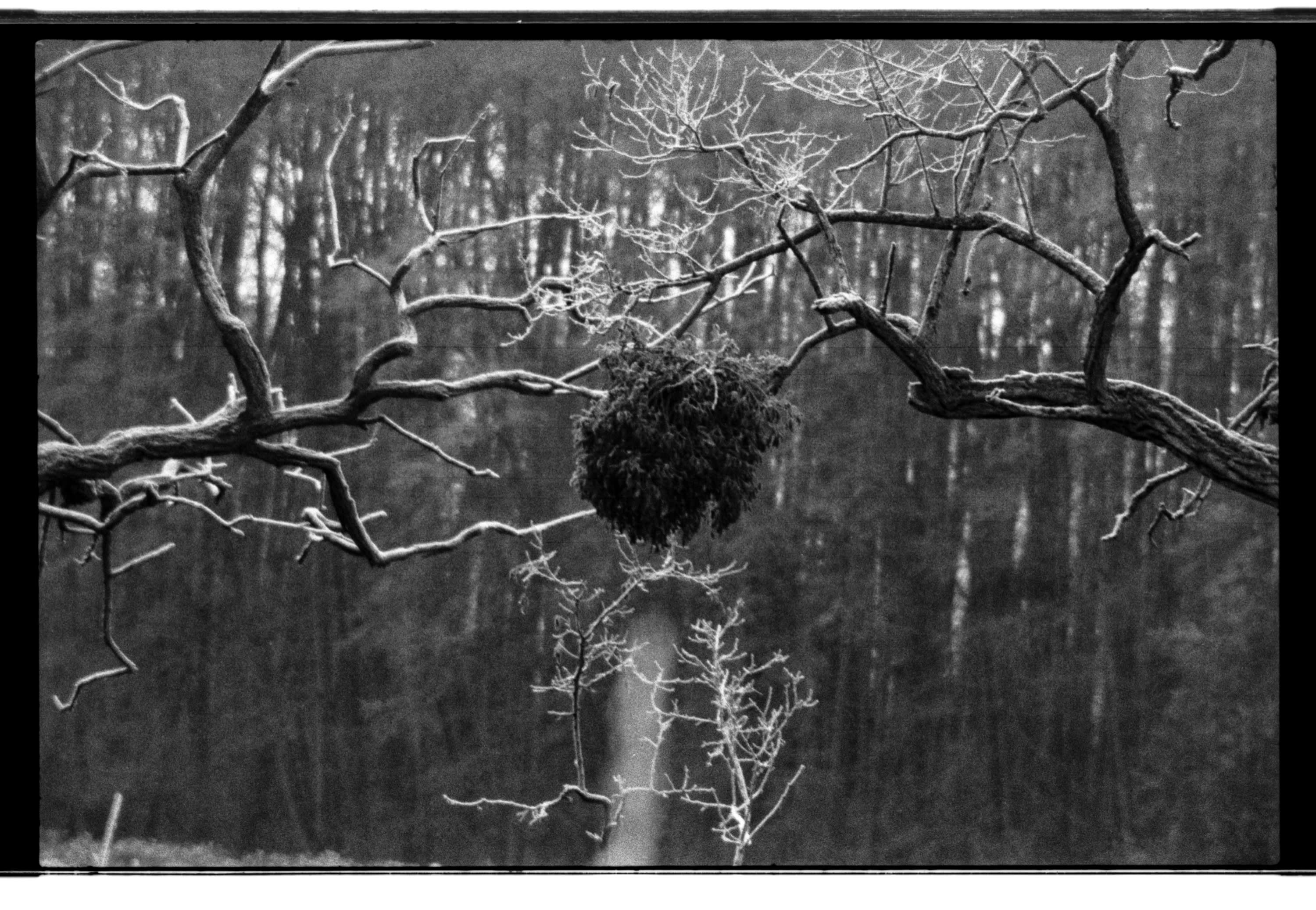 211213 Poth 2793 036.jpg